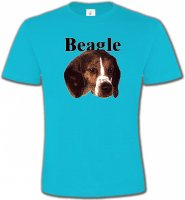 Beagle tête