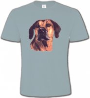 Rhodesian Ridgeback (A)