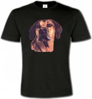 Rhodesian Ridgeback (A)