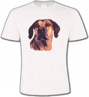 Rhodesian Ridgeback (A)