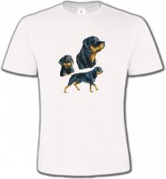 Rottweiler (D)
