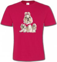 Shih Tzu (A)