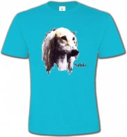 Lévrier Persan Saluki (K)