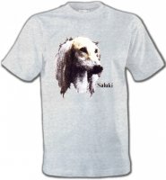 Lévrier Persan Saluki (K)