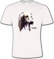 Lévrier Persan Saluki (K)
