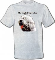 Tête de Bobtail Berger Anglais (A)