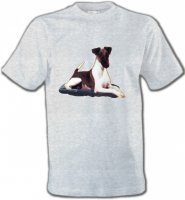Fox Terrier (K)