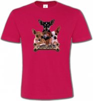 Chihuahua bébés (A)