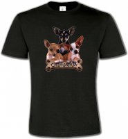 Chihuahua bébés (A)