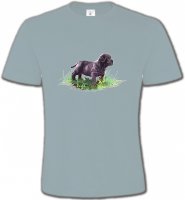 Bébé Sharpei noir (D)