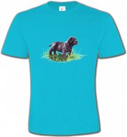 Bébé Sharpei noir (D)