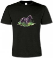 Bébé Sharpei noir (D)
