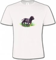 Bébé Sharpei noir (D)