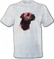 Border Collie Terrier brun (L)