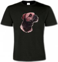 Border Collie Terrier brun (L)