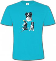Border Collie noir et blanc (B)