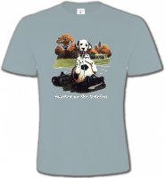 Dalmatien Football(M)