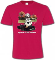 Dalmatien Football(M)