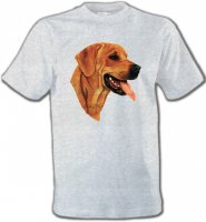Labrador sable (J)