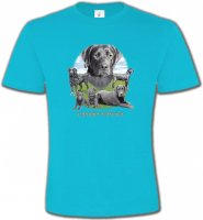 Labrador paysage gris paysage (O)