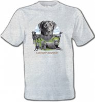 Labrador paysage gris paysage (O)