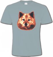 Spitz Poméranien (C)