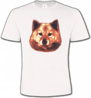 Spitz Poméranien (C)