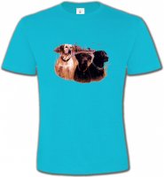 Trois chiens de chasse