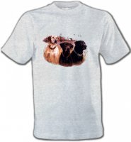 Trois chiens de chasse