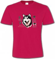 Alaskan malamute