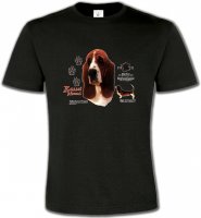 Basset Hound tête