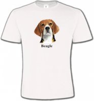 Beagle 