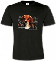 Beagle tête