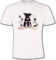 Bébé Berger Allemand