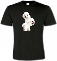 Bichon Frisé blanc (J)