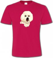 Bichon frisé (B)