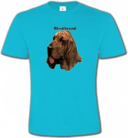 Bloodhound �€“ Saint-Hubert (A)