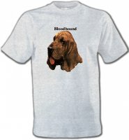 Bloodhound �€“ Saint-Hubert (A)