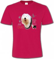 Bobtai Berger Anglaisl (C)