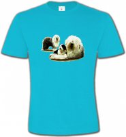 Famille Bobtail Berger Anglais (E)