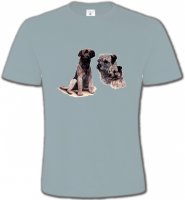 Border Collie Terrier gris (M)