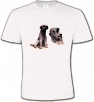Border Collie Terrier gris (M)