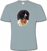 Border Collie noir et blanc (G)