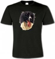 Border Collie noir et blanc (G)