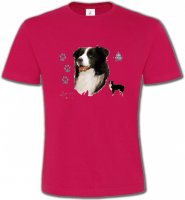 Border Collie noir et blanc (C)