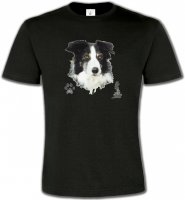 Border Collie noir et blanc (A)
