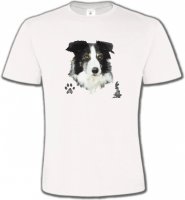 Border Collie noir et blanc (A)