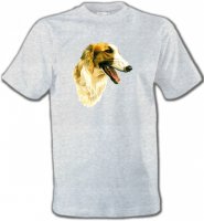Borzoi (A)