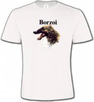 Borzoi (D)