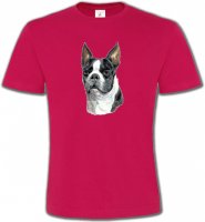 Boston Terrier (D)